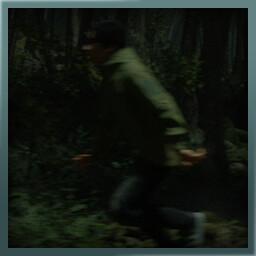 The Deranged Antarctic Penguin