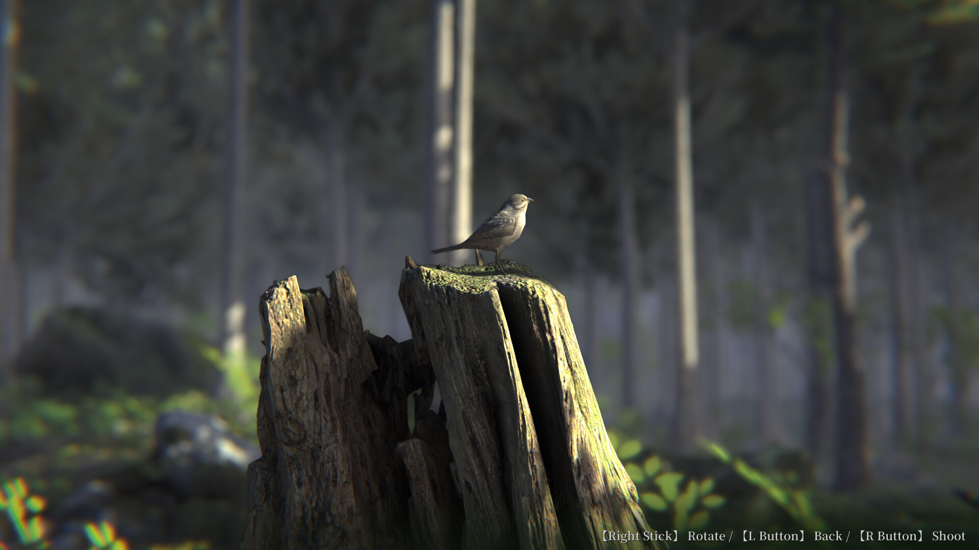 Jukai Maze Screenshot 9