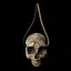 Skull Collector icon