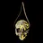 Skull Enthusiast