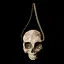 Skull Picker icon