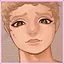 The paladin's wife icon
