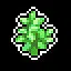 Oregano icon