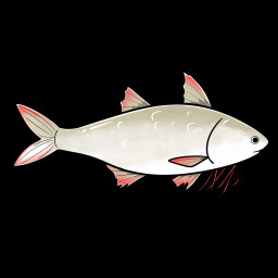 Threadfin Bream icon