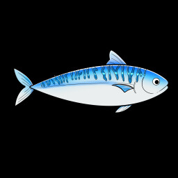 Spanish Mackerel icon