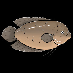 Gourami icon