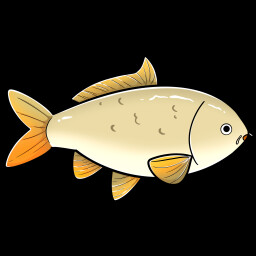 Carp icon