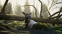 The Cenozoic Era Screenshot 4