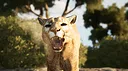 The Cenozoic Era Screenshot 7