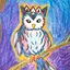 Owl icon