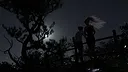 Summer's Gone - Season 1 Screenshot 21