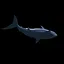 Shark Hunter icon