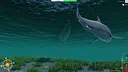 Nautikin Adventures Screenshot 77