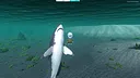 Nautikin Adventures Screenshot 75