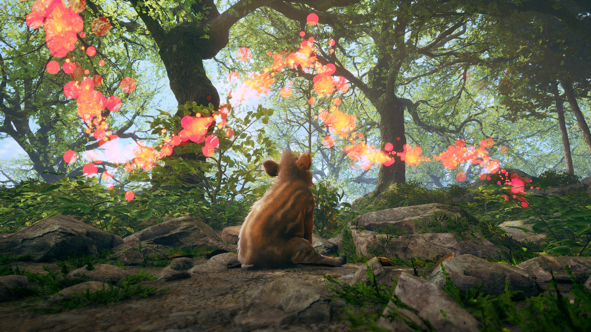 Adorable Adventures Screenshot 7