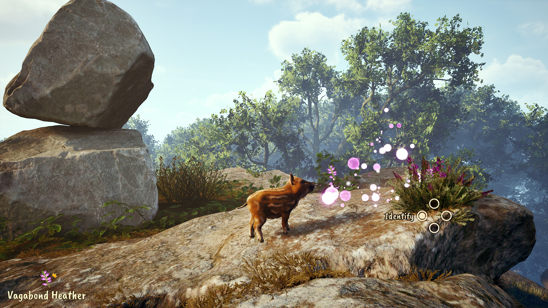 Adorable Adventures Screenshot 10