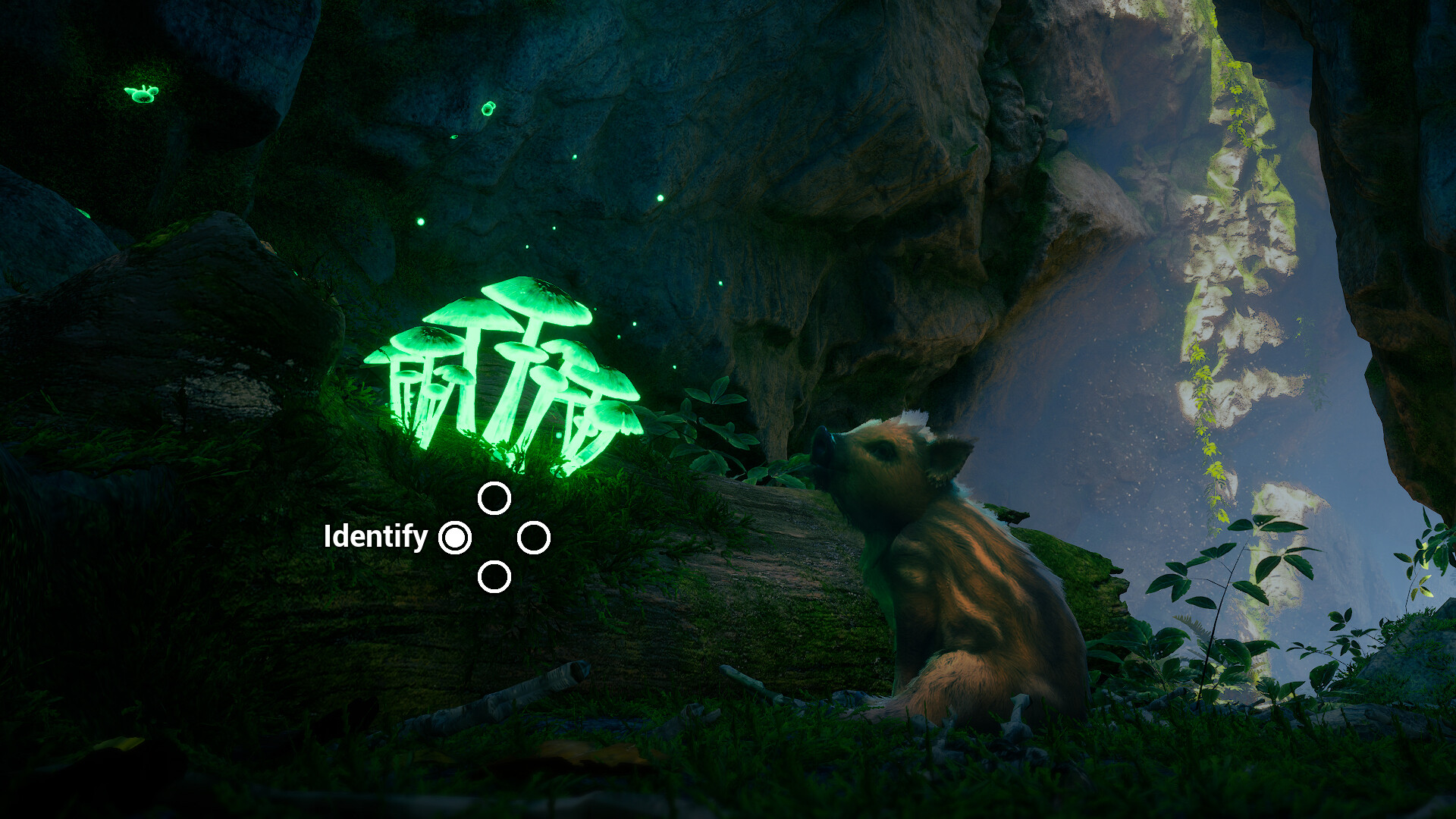 Adorable Adventures Screenshot 5