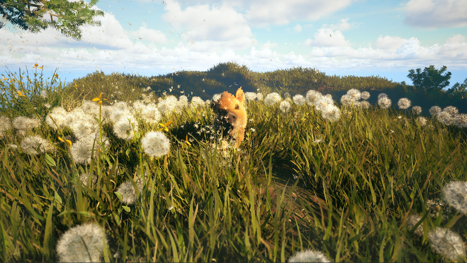 Adorable Adventures Screenshot 1