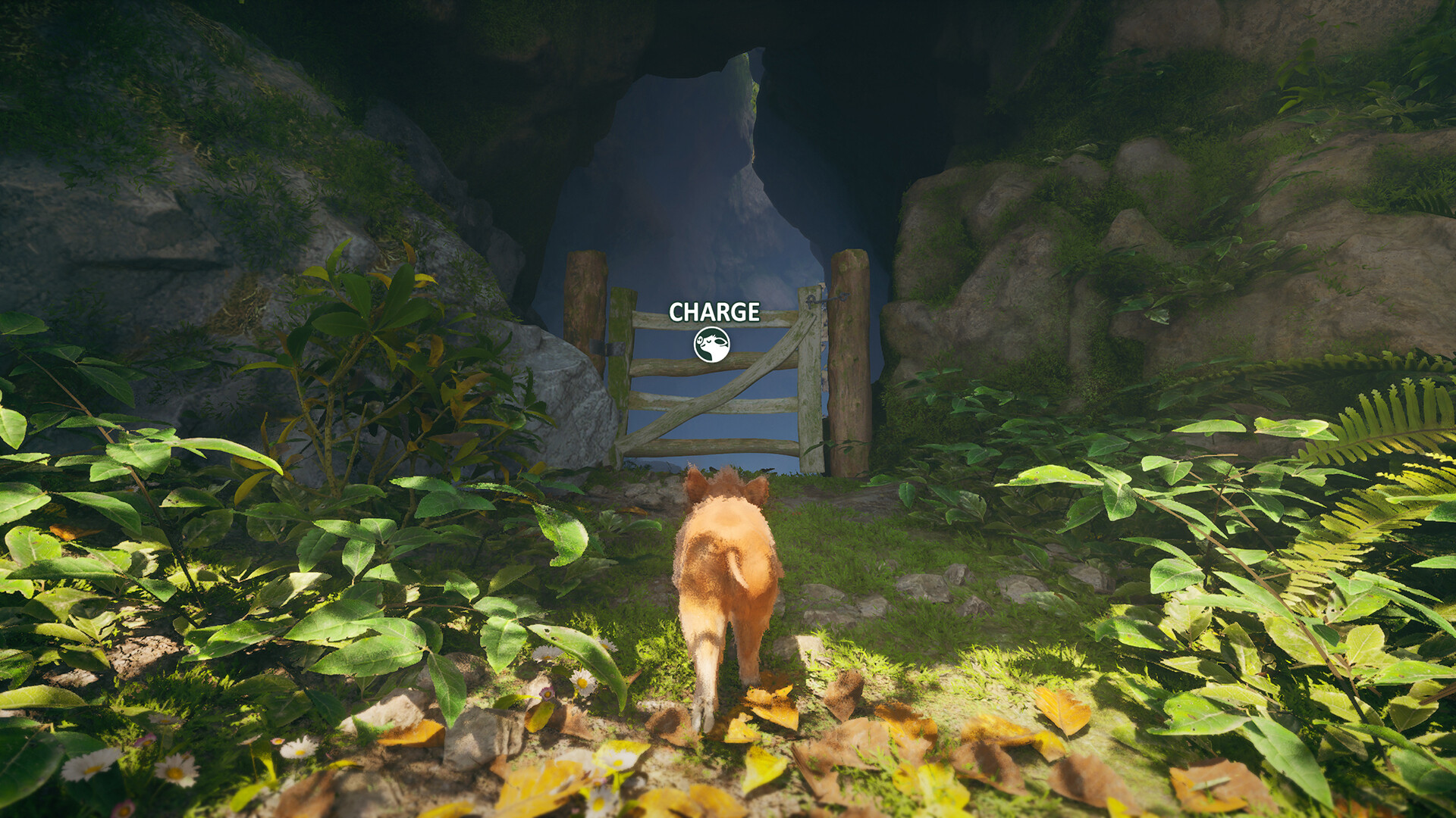 Adorable Adventures Screenshot 2