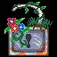 Star King icon