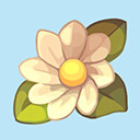 Too Pretty to Clean icon