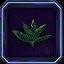 Lost in the Jungle icon
