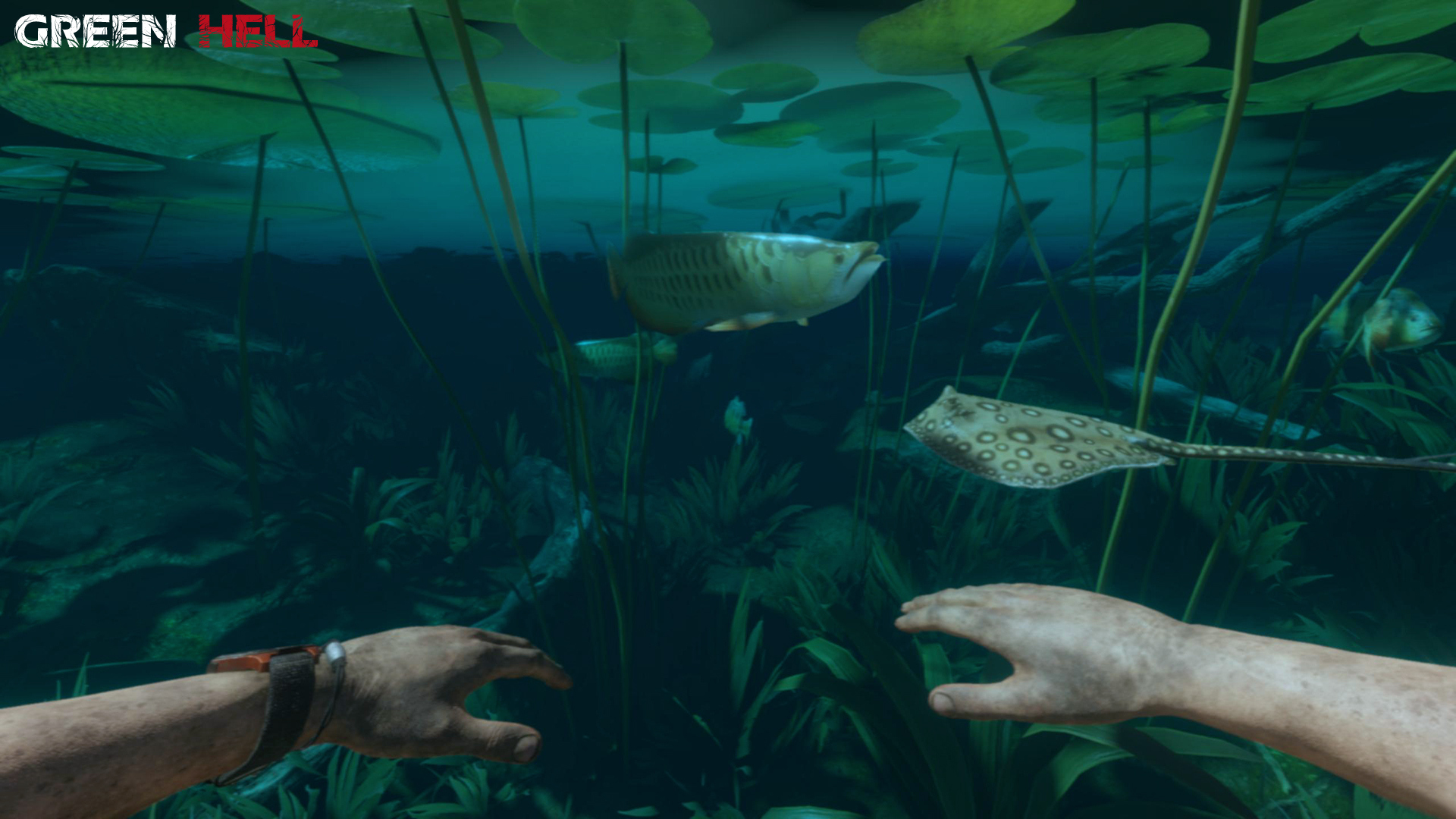 Green Hell Screenshot 17