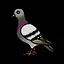 Bird icon