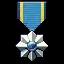 Combat Readiness Medal icon
