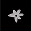 Blossom icon