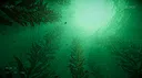 Full Fathom Screenshot 4