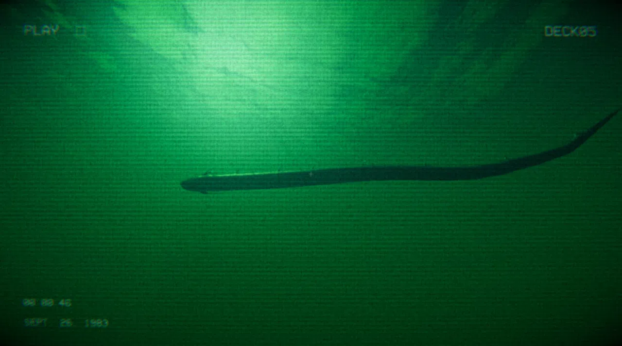 Full Fathom Screenshot 9