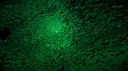 Full Fathom Screenshot 6