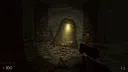Echoes in the Dark Screenshot 5