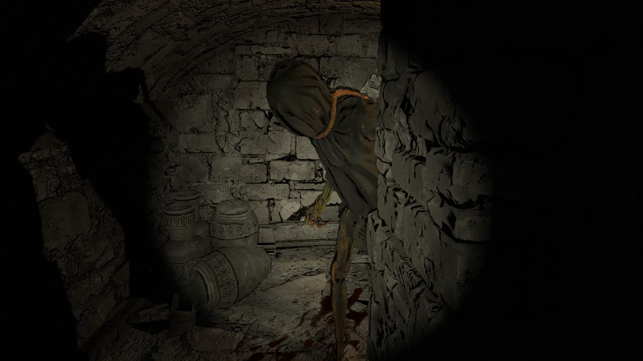 Echoes in the Dark Screenshot 1
