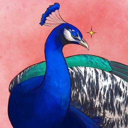 Like Your Birds, But Better icon