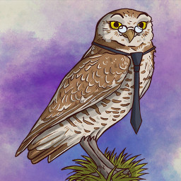 A Real Know-it-owl: Europe icon