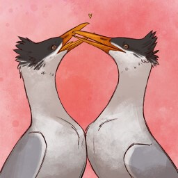 Devoted to Duet icon