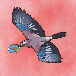 Flying International icon