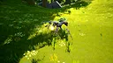 Spire Horizon Screenshot 2