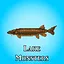 Lake Monsters icon