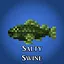Salty Swine icon