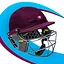 West Indies One Day Cup icon
