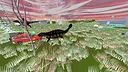 Hunt Screenshot 3