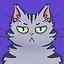 Gray Cat icon