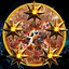IMMORTAL icon