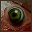 Nosy Neighbors icon