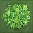 Master Botanist