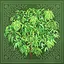 Master Botanist icon
