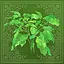 Green Thumb icon